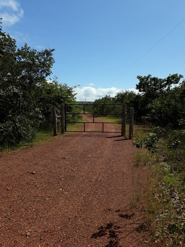Vende/troca Chácara (13x77) Com Ena Beira Do Lago/palmas-to