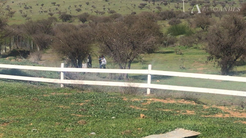 Sitio En Venta En Melipilla