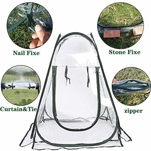 Mini Invernadero Pequeño Para Plantas Al Aire Libre Interior