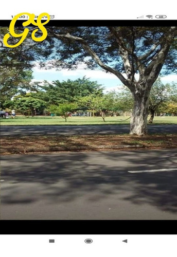 Imagem 6 de 7 de Terreno - Te00271 - 68821725