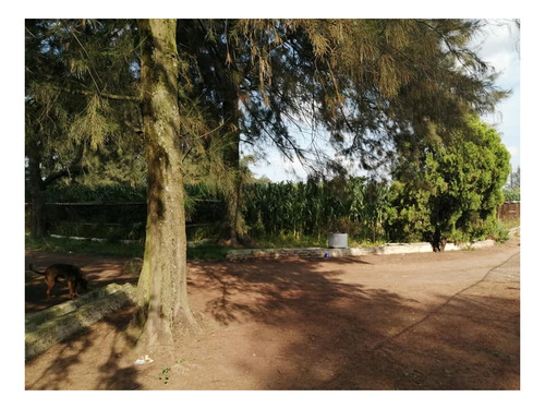 Imagen 17 de 30 de Terreno En Venta Cerca Del Aeropuerto