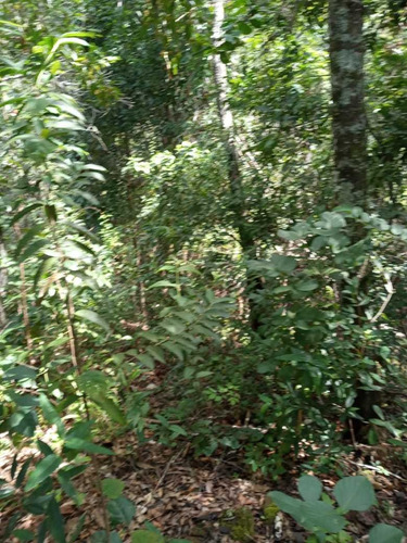 Imagem 12 de 14 de Excelente Terra Na Chapada Dos Veadeiros! Em Cavalcante Go