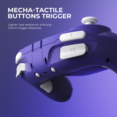 Nyxi Wizard Wireless Joy-pad Para Switch.