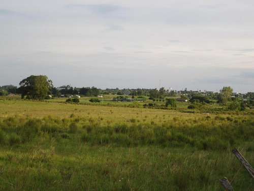 Campo Pegado A Tala, 22 Hás