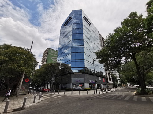Imagen 7 de 17 de Renta - Oficina - Masaryk - 230m2 - Piso 8