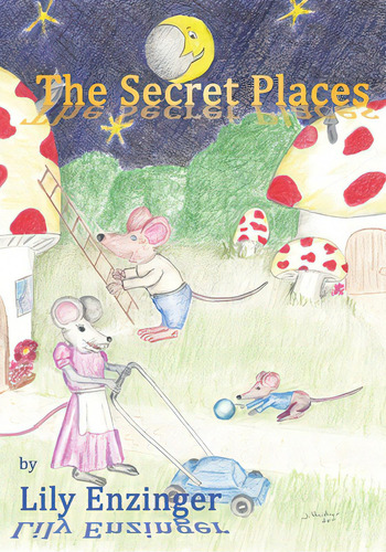 The Secret Places, De Haidner, Johanus. Editorial Lightning Source Inc, Tapa Blanda En Inglés