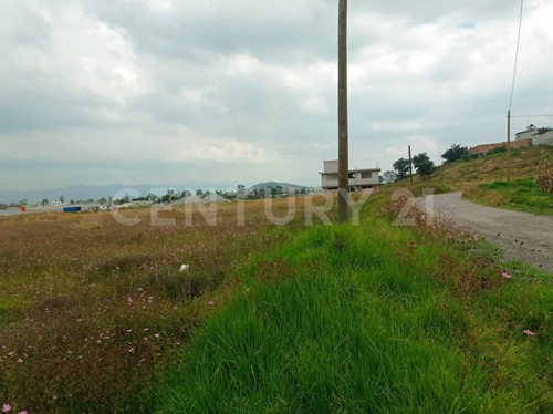 Terreno En Venta En Santiago Tlaxomulco, Toluca, Estado De México