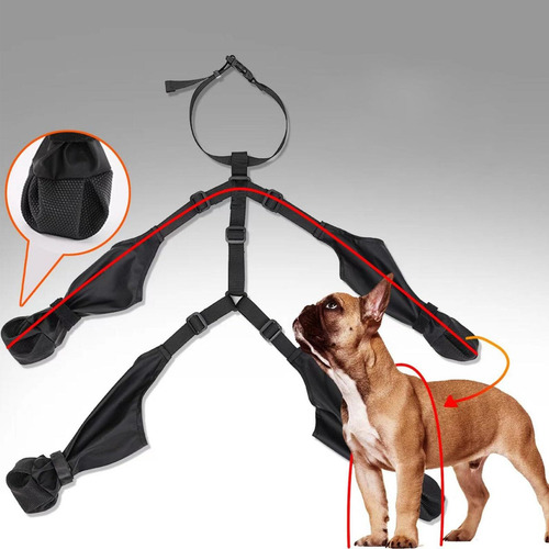 Protector De Patas Para Mascotas Con Correa Auxiliar Perros