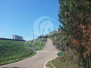 Chácara À Venda Em Nova Suiça 2 - Ch000833