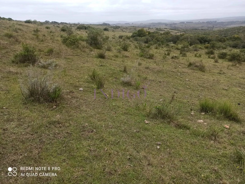 Chacra En Zona De Las Cañas, Buenas Vistas Con Tajamar Y Arroyos!