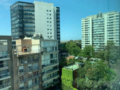 Imagen 18 de 30 de Alquiler De Oficina De 554 M2 En Vicente López