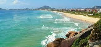 Imagem 16 de 21 de Apartamento Em Florianópolis - Sc - Ap1004_ccon