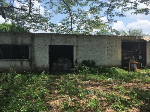 Imagen 10 de 12 de Rancho En Venta Potrerillo