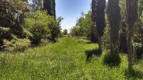 Imagen 13 de 16 de Campo Mixto De 280 Has En Venta Con Inmejorable Acceso Sobre Asfalto En Ranchos - Oportunidad !