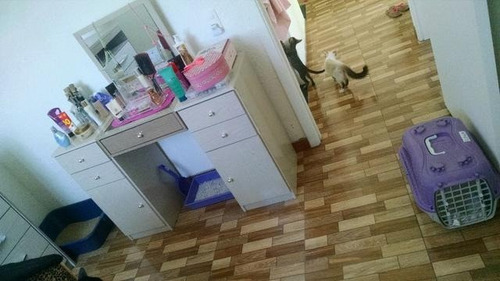 Imagem 7 de 15 de Apartamento - Realengo - Ref: 33076 - L-17772