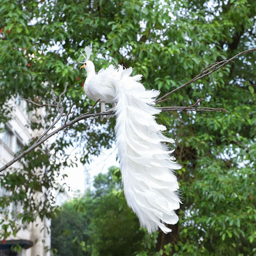 Colgante De Plumas Reales Blancas De Pavo Real De Simulación