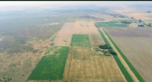 Campo En Estacion Diaz
