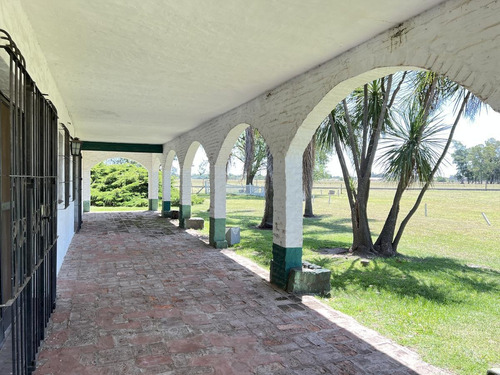 Imagen 14 de 30 de Venta Hermosa Chacra Haras Con Casco Y Mejoras En San Miguel Del Monte