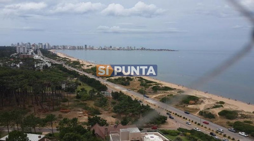 Imagen 2 de 9 de Apartamento Frente Al Mar En Playa Mansa