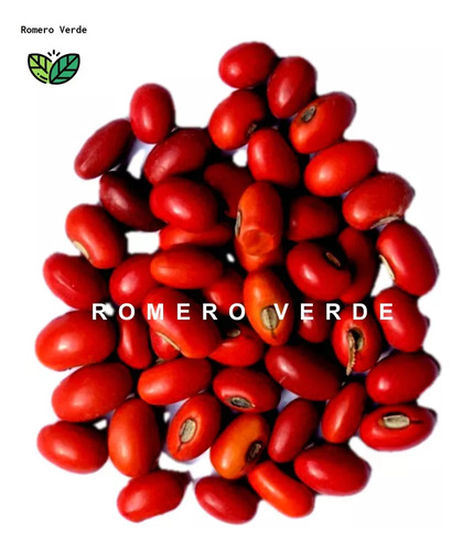 Semillas De Colorín Erythrina Coralloides 1 Kilo