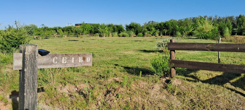 Terreno En Barrio Cerrado, Villa Eguzquiza La Barra