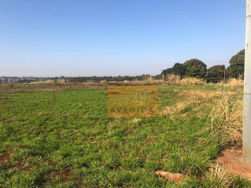Imagem 24 de 24 de Área Para Alugar, 58600 M² Por R$ 170.000,00/mês - Betel - Paulínia/sp - Ar0036