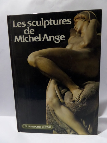 Les Sculptures De Michel - Ange