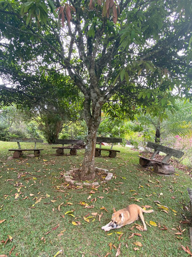 Temporada Sítio Em Paty Dos Alferes