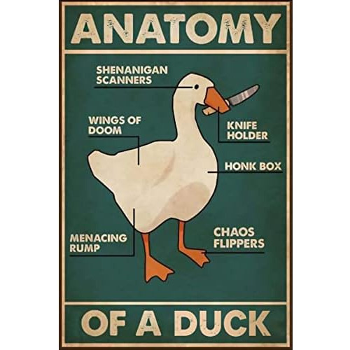 Señal De Metal De Conocimiento Sobre Patos, Anatomía ...