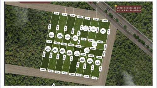 Imagen 2 de 4 de Lotes Urbanizados | Ensueño En Yaxkukul