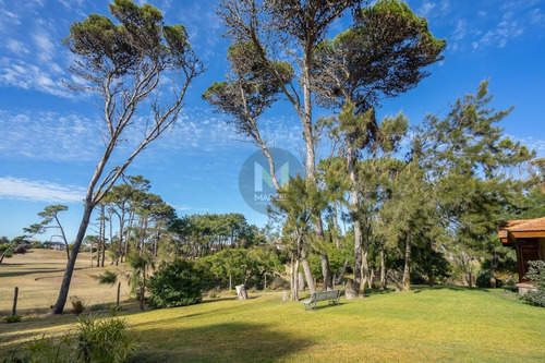 Imagen 14 de 30 de 7 Ambientes Sobre El Golf Viejo - Pinamar