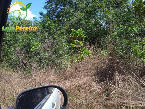 Imagem 6 de 11 de Fazenda À Venda No Vale Do Araguaia - To - Espetacular Para Soja - 1815
