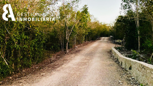 Imagen 7 de 10 de Terreno En Venta En Kuyabeh, Tulum, Qroo Ctv229