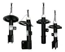 Comprar Kit De Amortiguadores Gas Del Y Tras 307 03 Al 10 Boge Bogas