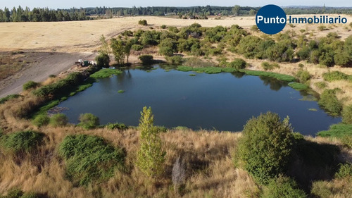 Imagen 5 de 13 de Rodeado De Lagunas. Apto Frutales.