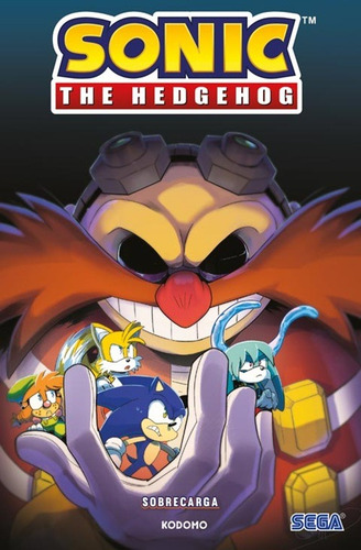 Sonic The Hedgehog, De Evan Stanley. Editorial Ecc, Tapa Blanda En Español