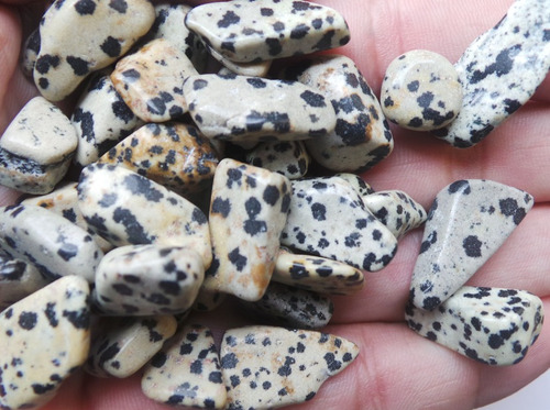 Jaspe Dálmata Rolado Tamanho 0,7 A 1,5cm Pacote Com 50gr