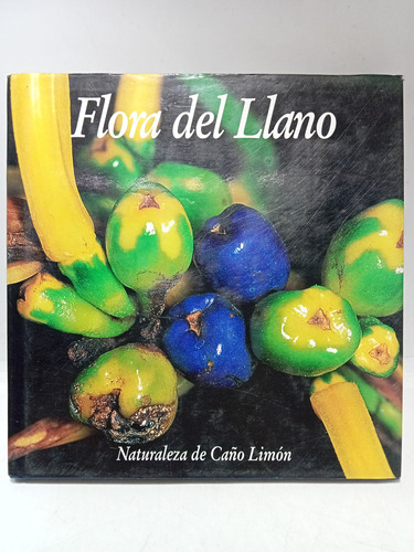 Flora Del Llano - Cristina Uribe Hurtado - Cristina Uribe 