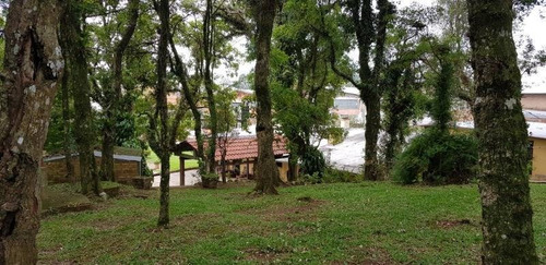 Imagem 10 de 14 de Terreno - Sao Ciro - Ref: 7612 - V-7612