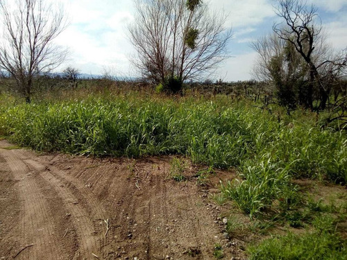 Imagen 14 de 14 de C012bc - Campo 56 Has En Bajo Los Corrales