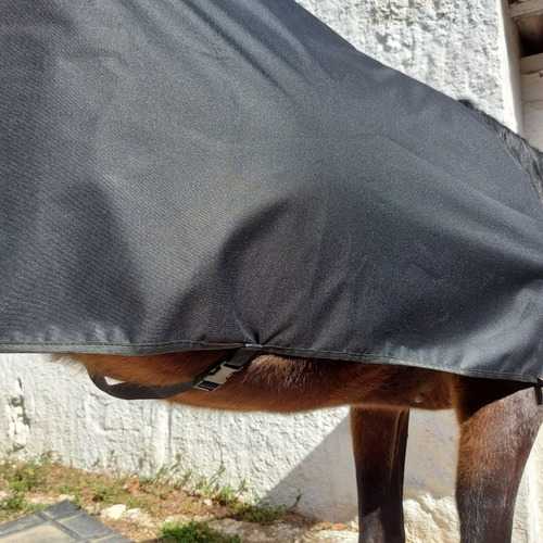 Capa Cobertura De Frio Para Cavalo Impermeável - Pocho
