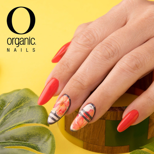 Imagen 7 de 10 de Prokit Completo Aplicación Uñas Organic Nails + Capacitación