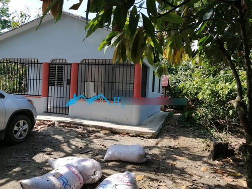 Se Vende Finca De Cacao De 807 Tareas En San Fco. De Macoris