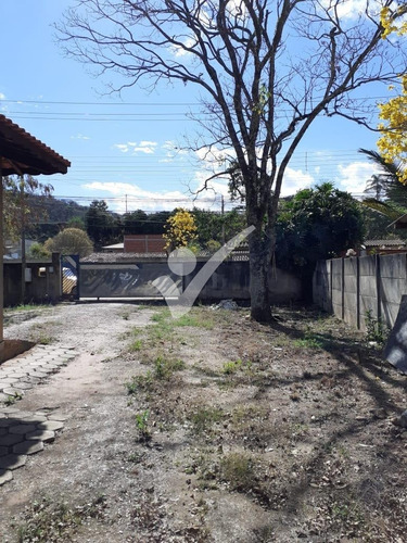Imagem 11 de 13 de Chácara À Venda Em Portão - Ch003627