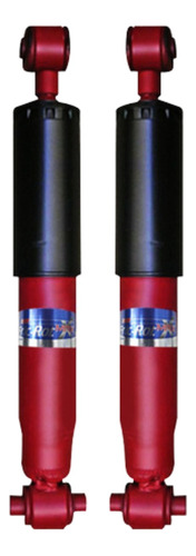 Kit X2 Amortiguadores Traseros Fric Rot Peugeot 206 207