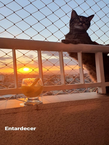 Imagem 4 de 19 de Apartamento A Venda No Parque Boturussu, São Paulo - V3072 - 69394326
