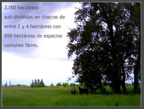 Terreno - Estancia Benquerencia