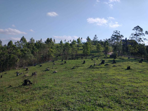 Imagem 12 de 13 de Os Melhores Lotes Da Região De São Roque