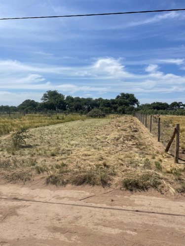 Venta Terreno Cardo Ruso S/n- Altos De Kamal- Toay
