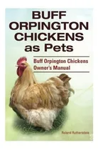 Comprar Buff Orpington Chickens As Pets. Buff Orpington Chickens ...